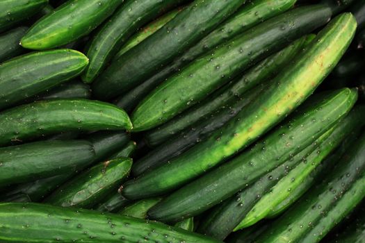 Okurka – čerstvá ingredience