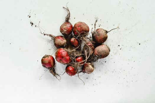 Červená řepa – čerstvá ingredience